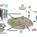 “Tensiones Comerciales y Caída de PDD Holdings” "Baterías Sostenibles: Transformando Residuos en Energía Limpia"