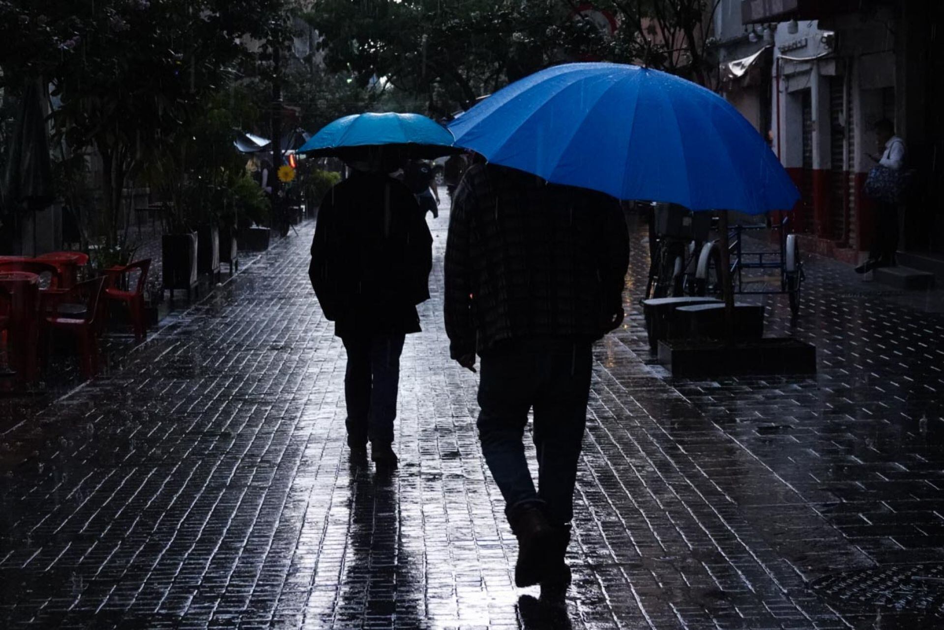 “Ciclón ‘Alvin’ y Fuertes Lluvias Azotan México” "Ciclón 'Alvin' y Fuertes Lluvias Azotan México"