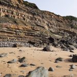 Descubren el polen más antiguo de plantas con flores Descubren el polen más antiguo de plantas con flores