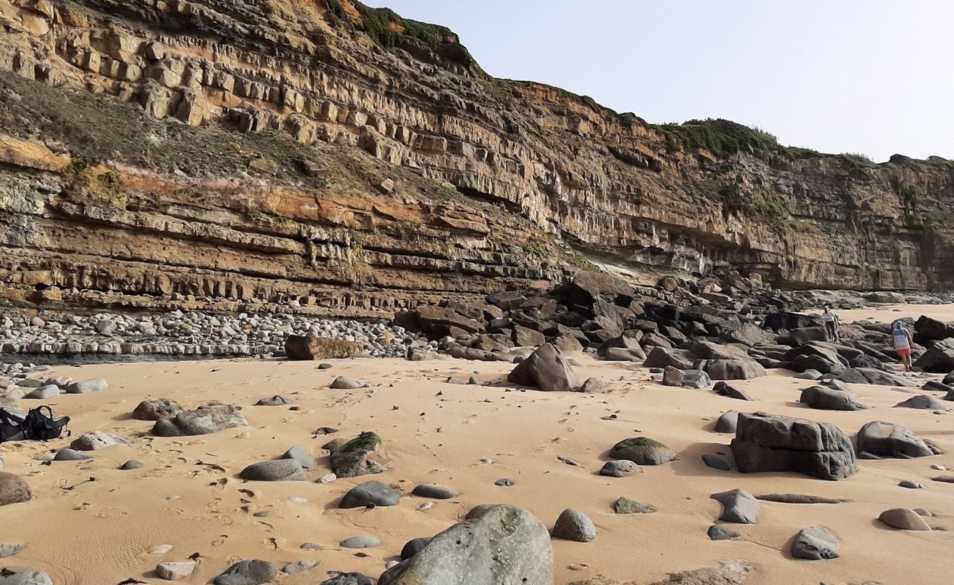 Descubren el polen más antiguo de plantas con flores Descubren el polen más antiguo de plantas con flores