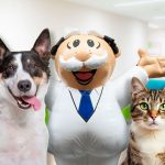 Dr. Simi lanza clínicas para mascotas Dr. Simi lanza clínicas para mascotas