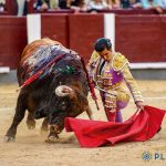 “El Valor y Arte en la Tauromaquia: Diego San Román y la Defensa de Tradiciones” "El Valor y Arte en la Tauromaquia: Diego San Román y la Defensa de Tradiciones"