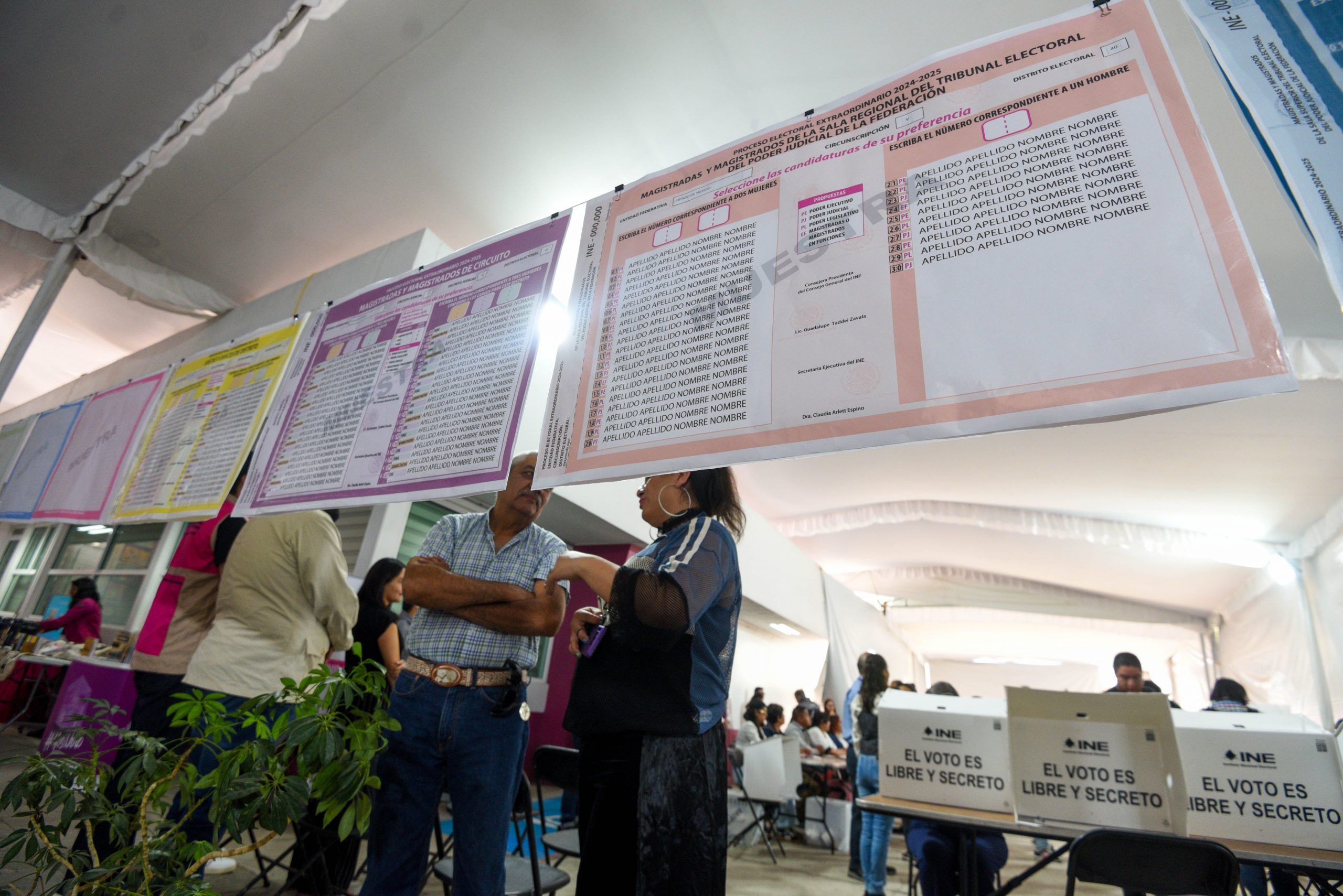 “Guía para las Elecciones Judiciales 2025 en México” "Guía para las Elecciones Judiciales 2025 en México"