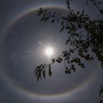 Diputado de Morena defiende a gobernadora con polémica comparación Halo solar deslumbra el cielo de CDMX