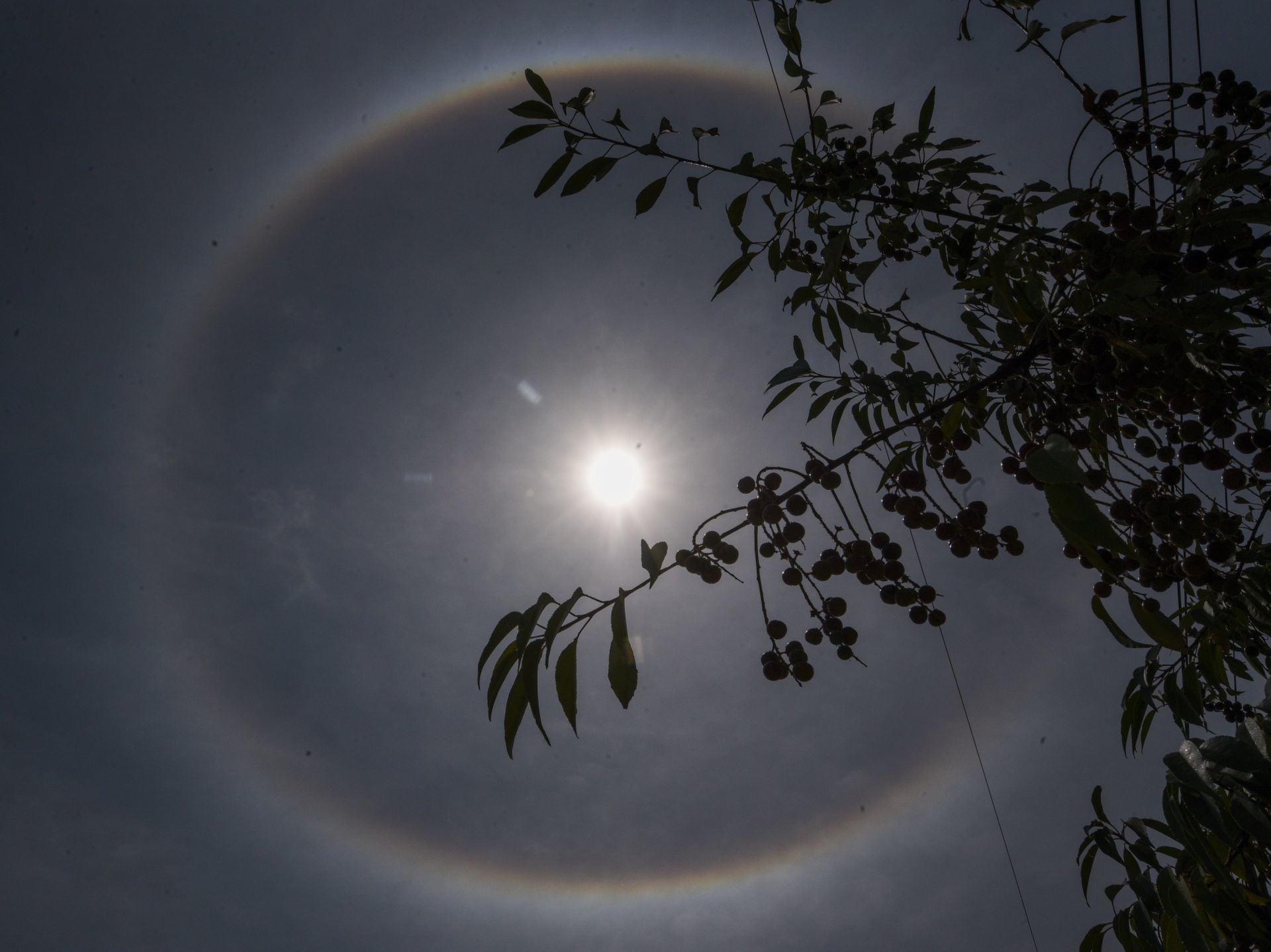 Halo solar deslumbra el cielo de CDMX Halo solar deslumbra el cielo de CDMX