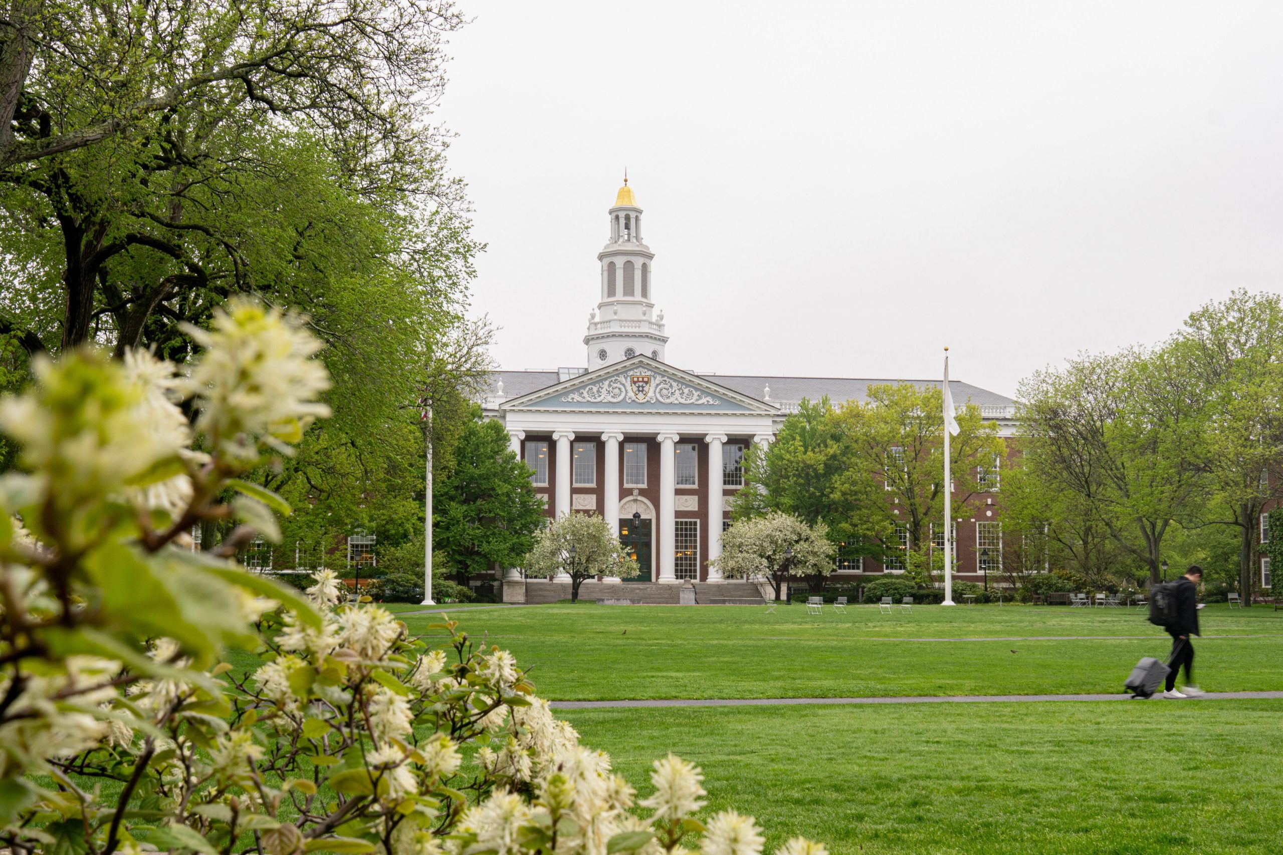 Harvard demanda a Trump por veto a estudiantes internacionales Harvard demanda a Trump por veto a estudiantes internacionales