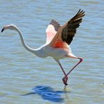 Impacto de la IA en Recursos Naturales de Chile Impacto de la IA en Recursos Naturales de Chile