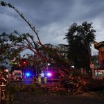 “La Decisiva Conexión Emocional en ‘El Origen'” "Alerta Amarilla y Mal Tiempo para la NASCAR en CDMX"