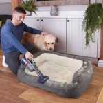 Reaparición de Peña Nieto en Documental sobre el NAIM Aspiradora Ideal para Mascotas con Descuento en Amazon