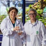 Boa esmeralda amazónica: un hallazgo alimentario inesperado Boa esmeralda amazónica: un hallazgo alimentario inesperado