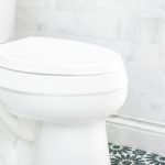 “Coca-Cola y la Limpieza del Inodoro: Mitos y Realidades” "Coca-Cola y la Limpieza del Inodoro: Mitos y Realidades"