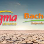 "Crisis de Proteínas: El Alza de Precios en 2025"