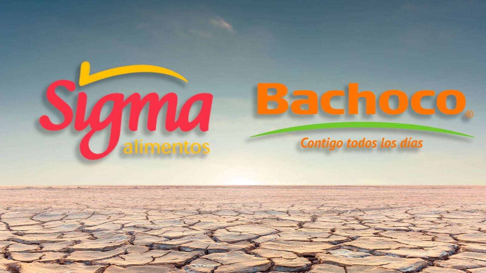 “Crisis de Proteínas: El Alza de Precios en 2025” "Crisis de Proteínas: El Alza de Precios en 2025"