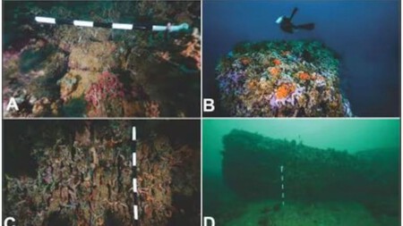 Descubrimiento del Fuerte de San Matías en Cartagena Descubrimiento del Fuerte de San Matías en Cartagena