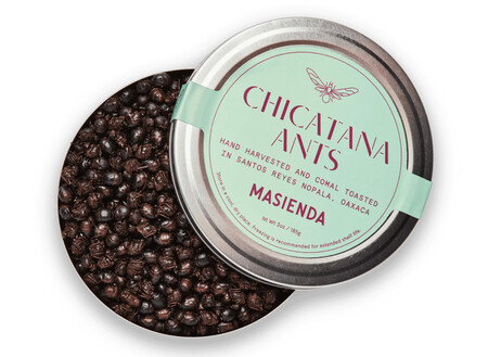 “Hormigas Chicatanas: Del Campo a la Mesa” "Hormigas Chicatanas: Del Campo a la Mesa"