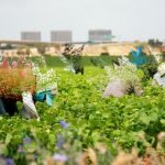 “Inundaciones y Tráfico en CDMX por Lluvias Intensas” "Impacto Económico: La Ausencia de Trabajadores Mexicanos en EE.UU."