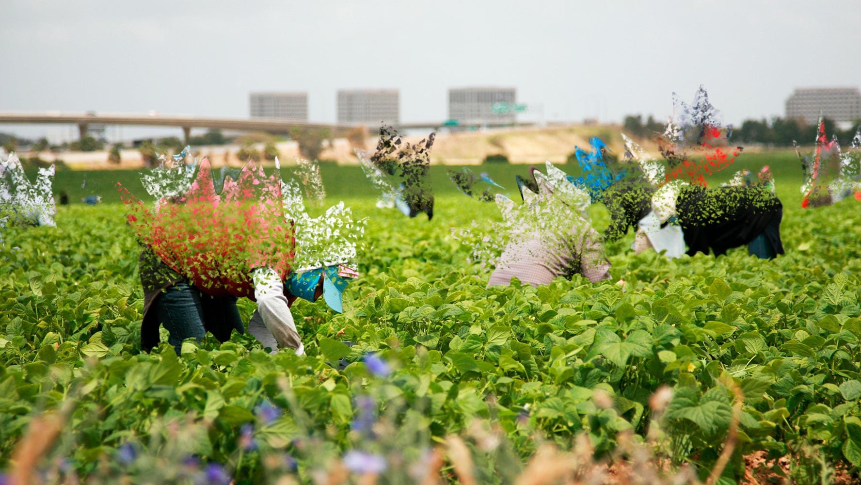 “Impacto Económico: La Ausencia de Trabajadores Mexicanos en EE.UU.” "Impacto Económico: La Ausencia de Trabajadores Mexicanos en EE.UU."