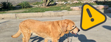 “Ley Silla en México: Derechos y Obligaciones para Empleadores” "Ley Silla en México: Derechos y Obligaciones para Empleadores"