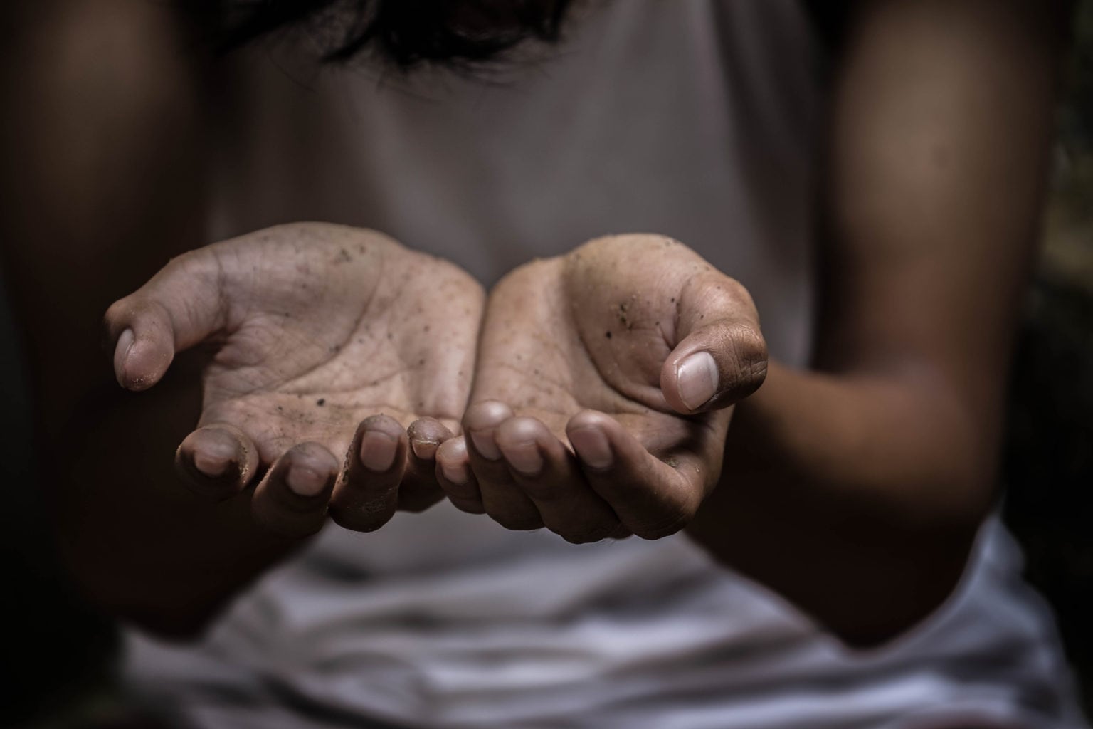 México Prohíbe Importación de Productos con Trabajo Forzoso México Prohíbe Importación de Productos con Trabajo Forzoso