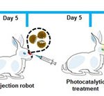 Microrobots que combaten infecciones nasales Microrobots que combaten infecciones nasales
