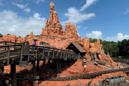 "Montaña Rusa de Disney: La Solución Inesperada para Cálculos Renales"