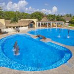 Prohibición de Shows con Mamíferos Marinos en México Prohibición de Shows con Mamíferos Marinos en México