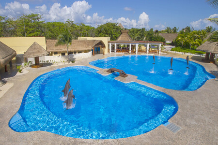 Prohibición de Shows con Mamíferos Marinos en México Prohibición de Shows con Mamíferos Marinos en México