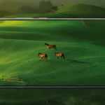 Fobia a Hablar en Público: Un Reto Académico y Laboral realme GT 7: Potencia y Batería de Alta Gama a Precio Asequible