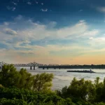 “Rosa Icela Rodríguez Destaca Libertad de Prensa y Colabora en Eventos Clave” "Tiburones Fósiles Hallados en la Cueva del Mamut"