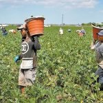 “Incertidumbre Regulatoria Frena 5G en México” "Trump Plantea Cambios en Políticas Migratorias"