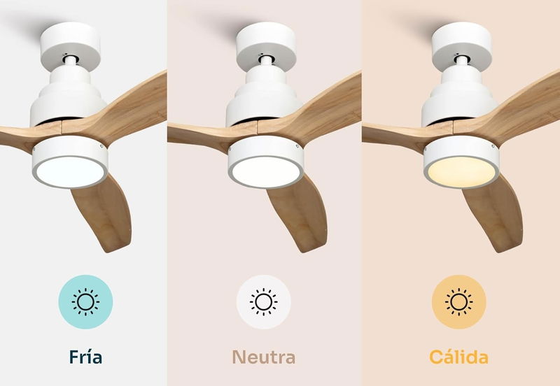 “Ventiladores de Techo: Tu Aliado Económico contra el Calor” "Ventiladores de Techo: Tu Aliado Económico contra el Calor"