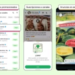 “WhatsApp Introduce Publicidad en la Pestaña Novedades” "WhatsApp Introduce Publicidad en la Pestaña Novedades"