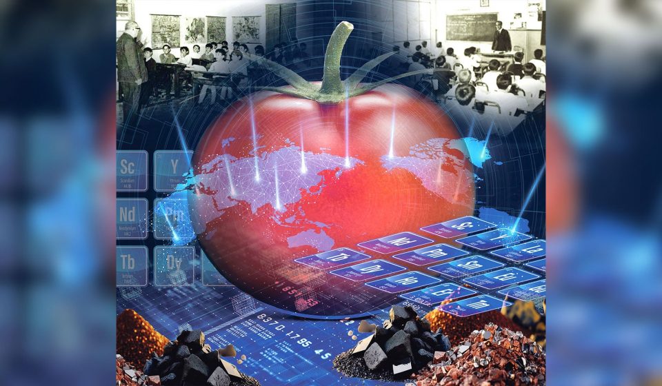 Desafíos de la Inteligencia Artificial y la Nueva Riqueza Global Desafíos de la Inteligencia Artificial y la Nueva Riqueza Global