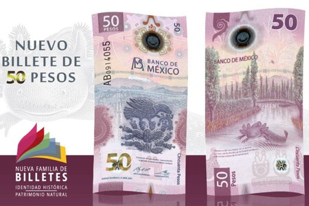 El fenómeno del billete ajolote en México El fenómeno del billete ajolote en México
