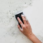 Revolución Fotográfica: Nuevo Sensor del iPhone con Rango Dinámico Inédito Errores Comunes y Consejos para Resanar Paredes en Casa