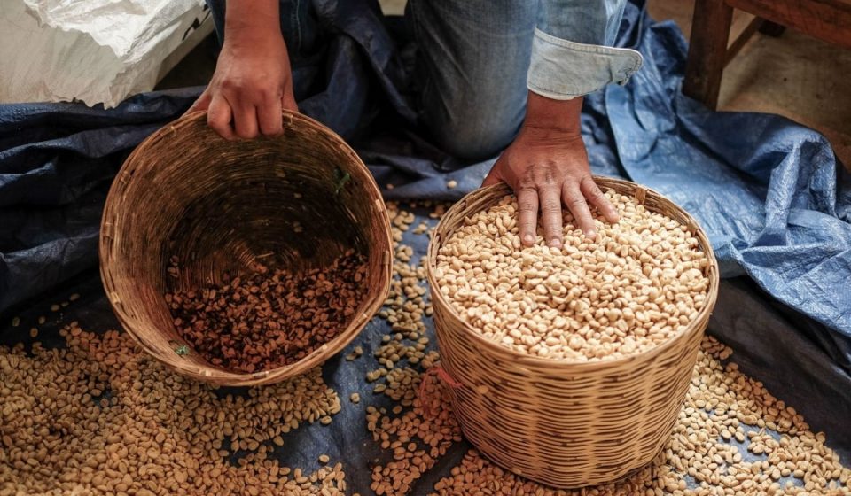 Impacto de Aranceles en la Agricultura Mexicana Impacto de Aranceles en la Agricultura Mexicana