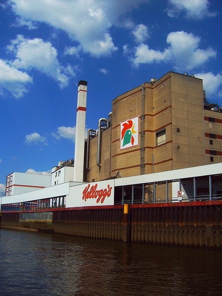 Indignación por consejo del CEO de Kellogg’s: cereal para cenar frente a la crisis Indignación por consejo del CEO de Kellogg's: cereal para cenar frente a la crisis