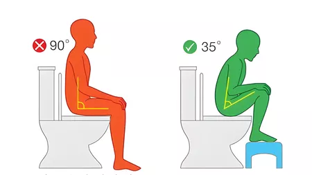 La Postura Correcta para Ir al Baño Según la Ciencia La Postura Correcta para Ir al Baño Según la Ciencia