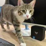 Mini PC NiPoGi E1: Calidad-Precio Imbatible para Teletrabajo Mini PC NiPoGi E1: Calidad-Precio Imbatible para Teletrabajo