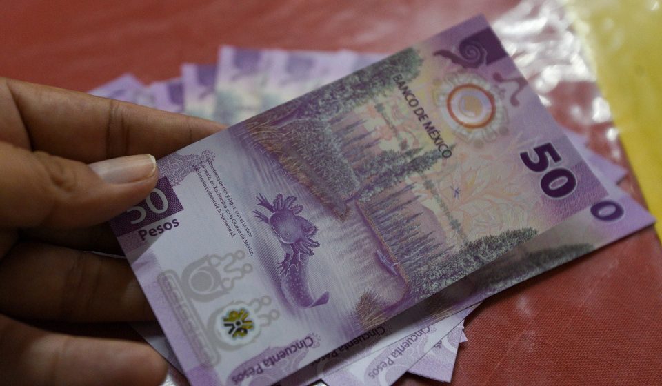 Precariedad Laboral y Salarios de Pobreza en Nuevo León Precariedad Laboral y Salarios de Pobreza en Nuevo León