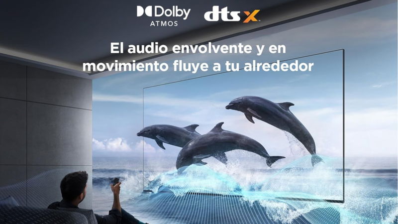 Televisor TCL 4K de 55″ a Precio de Chollo Televisor TCL 4K de 55" a Precio de Chollo