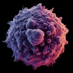 Trump intensifica aranceles: impacto en industria global y sectores clave Vacuna Universal contra el Cáncer: Un Cambio Radical en el Tratamiento